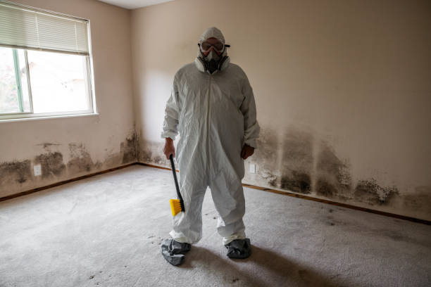 Woodbourne, PA Mold Removal Company