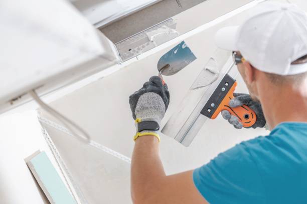 Best Mold Damage Restoration  in Woodbourne, PA